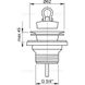 Водозлив AlcaPlast A31 A31 фото 2